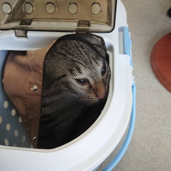 0ec4dee0 01db 49a6 87d8 04e696a56b8f 1559355716693