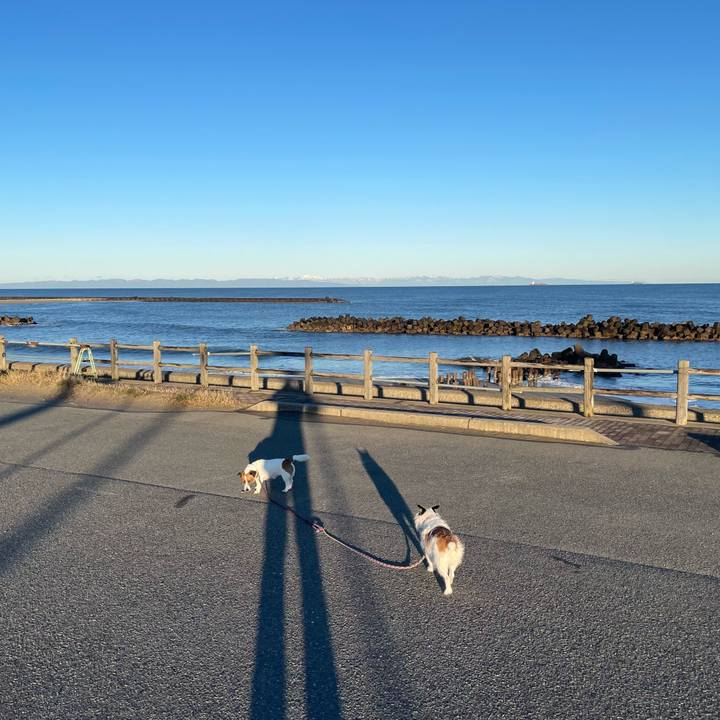 0ec50ac3 8cee 4e0f 8ab6 608069d8456c 1772063313907