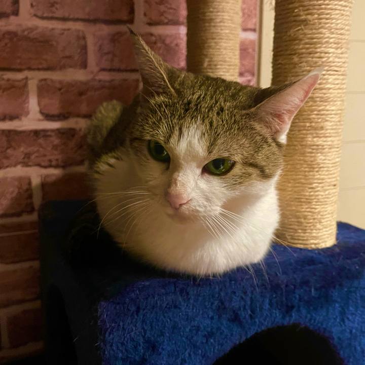 0ec50eee a8bf 4d89 9928 e493c697ade7 1631181660030