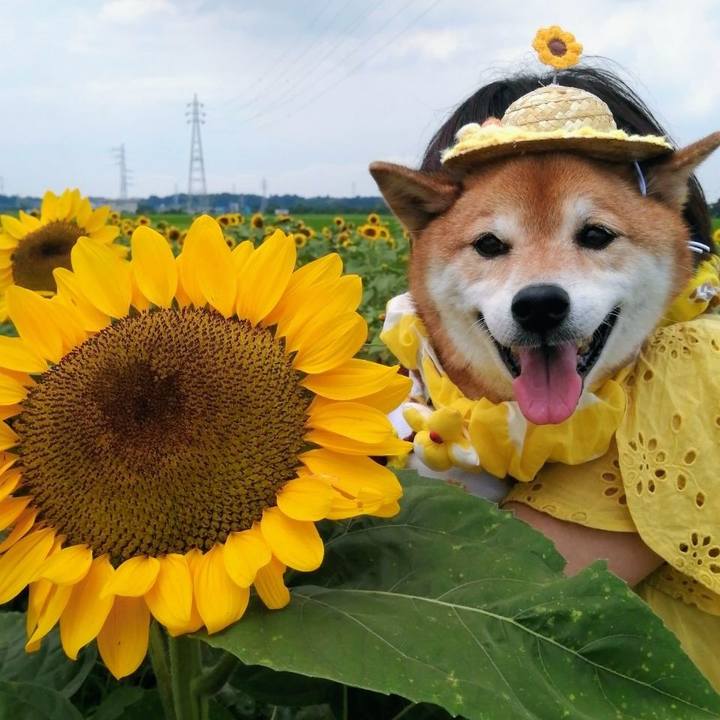 0ec57ba8 b0c9 461d bc80 8e96e0115211 1720602592666