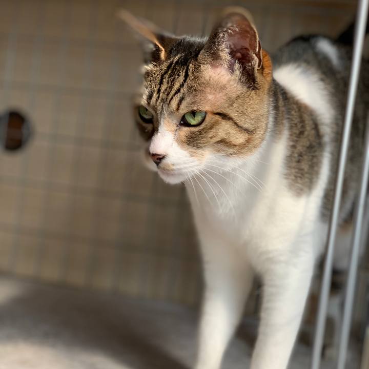 0ec58721 7a66 4523 ba2e 28fb69d07483 1586826636791