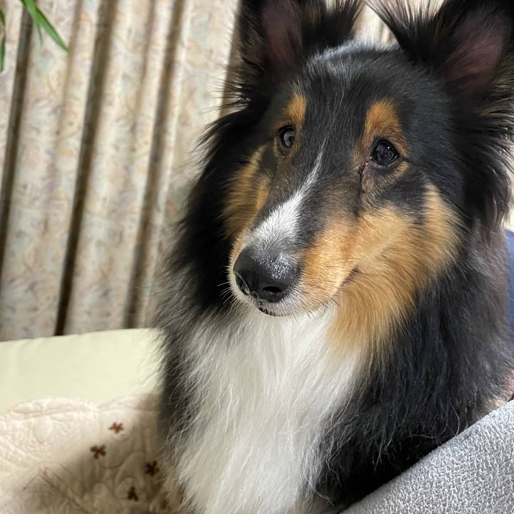 0ec59000 4842 4994 8364 1dce2733e519 1616971971204