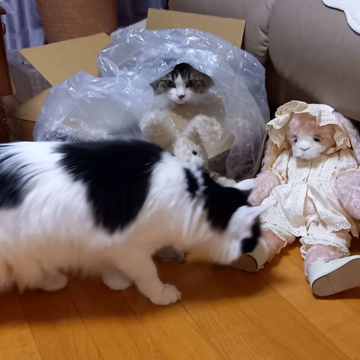 0ec5a3c3 d4be 40dc 8763 fd8a0433b025 1651927469542