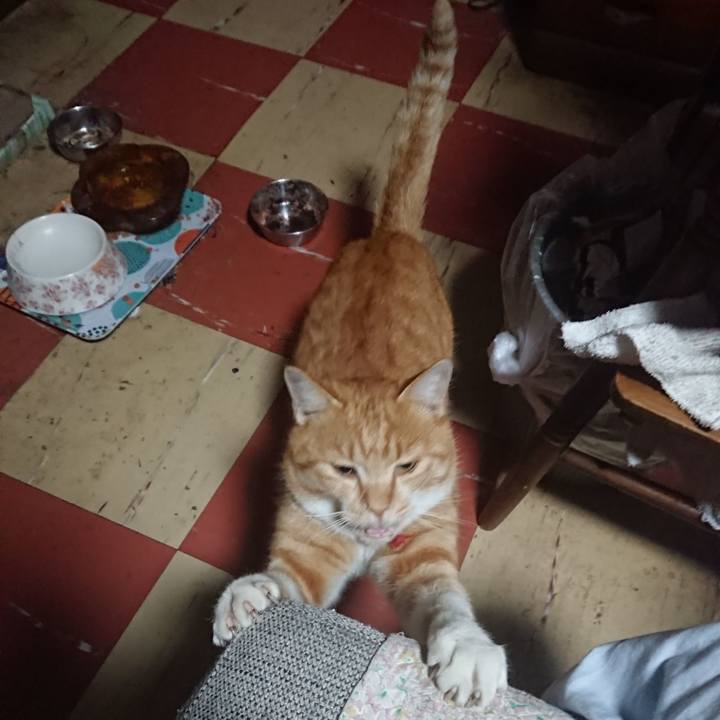 0ec5a9c7 a312 44f5 98aa 066907aa0004 1574724265696