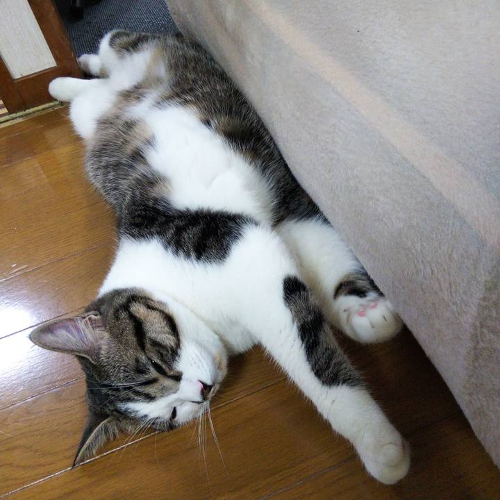 0ec5abd4 bd2f 45bf 9dfd 766fab929e7f 1624791376511