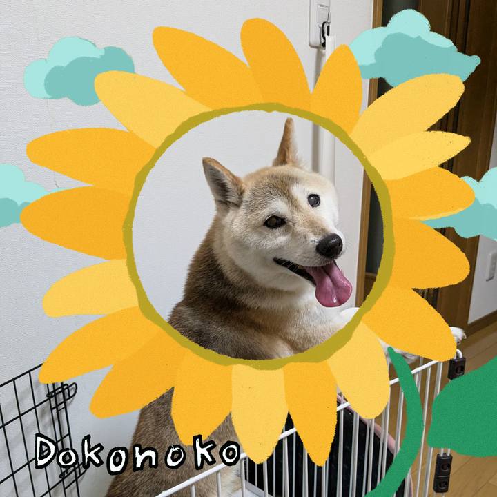 0ec5bfd5 8430 46d5 b38a 6f238ea11da7 1723259493619