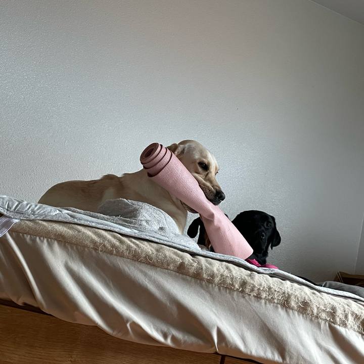 0ec5d039 7cd2 46f3 92c4 133d5dbc61af 1660255167846