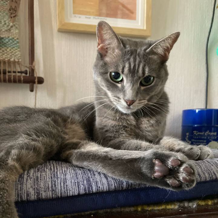 0ec60cd5 d300 4217 bc14 ce03ba02424d 1724456248206