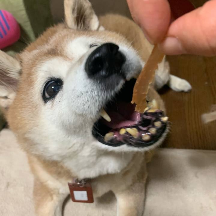 0ec61276 7483 484f a257 0b6cf9a24116 1609325370246