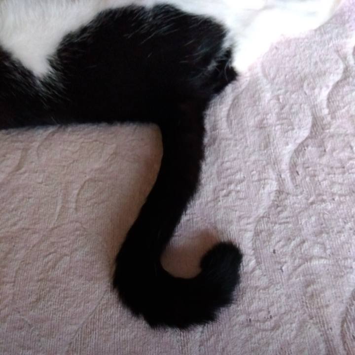 0ec61603 c77a 4cc3 887e 5efb0c315a2b 1658793612240