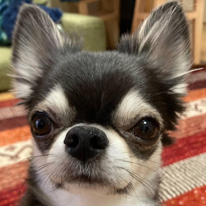 0ec62431 fec5 4e96 9a77 343b0ae6cd8a 1671233609148