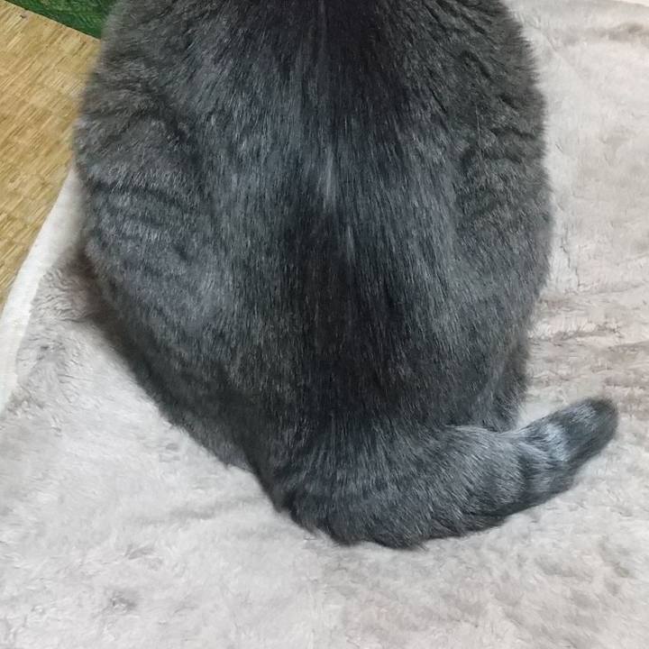 0ec661b6 e4f6 49b2 b3c7 5d56cc7cdd8b 1671378889454