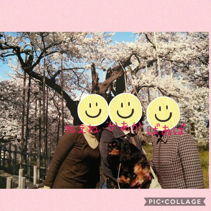 0ec69759 a926 492f 9499 9f79a39371b4 1586003785615