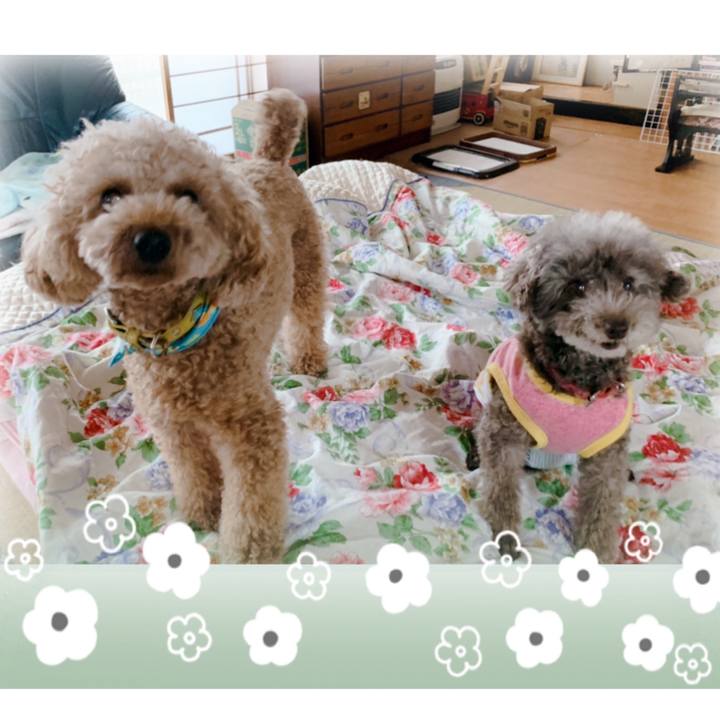 0ec6d620 e2af 4040 bdf6 bbc0cd2fc388 1655540498283