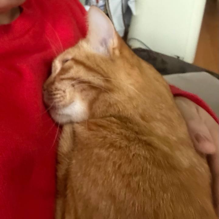 0ec6f3f3 09c9 4db2 b122 a2889e7210cb 1766895758317