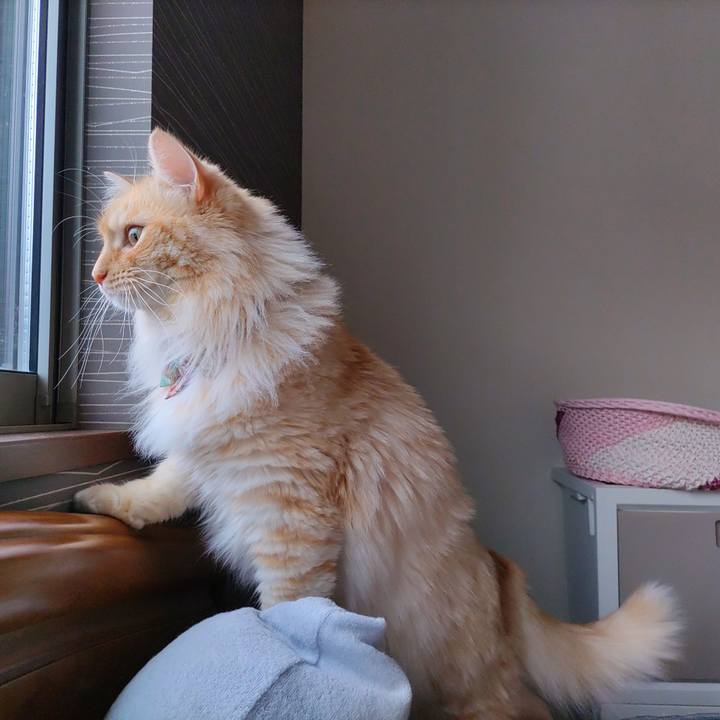 0ec7144e fa7d 4e4d a6e2 023f349db9e4 1655250983979