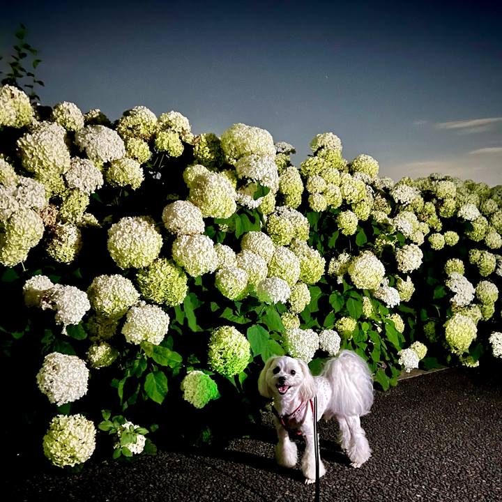 0ec72625 ee69 442d a588 ba25de9fb240 1658804035104