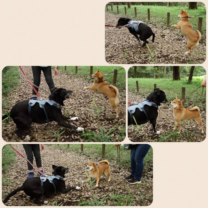 0ec74a99 3551 43fc 8cac e6b2bf6171f6 1720916749547