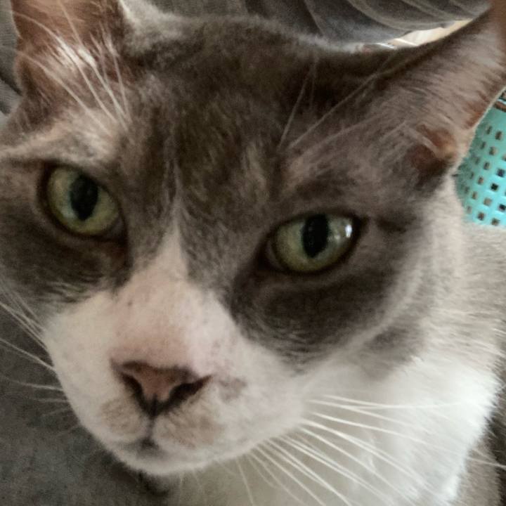 0ec7668a f63c 4f4b b671 66f9ab91e44c 1654415830648