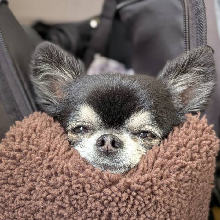 0ec770f2 4490 4876 b055 a2c3bf3efbff 1776046741936