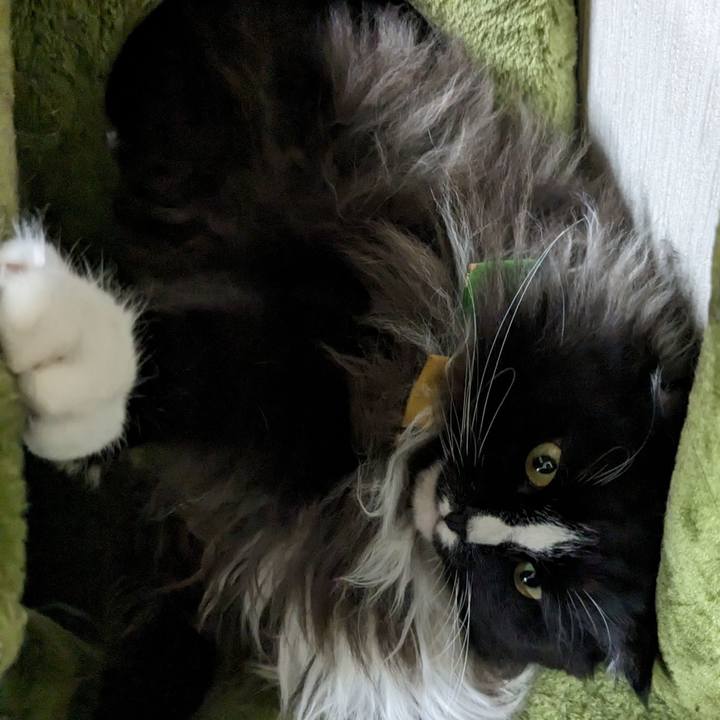 0ec78160 5aac 4279 afe5 1ef377d8f3ae 1694401061659