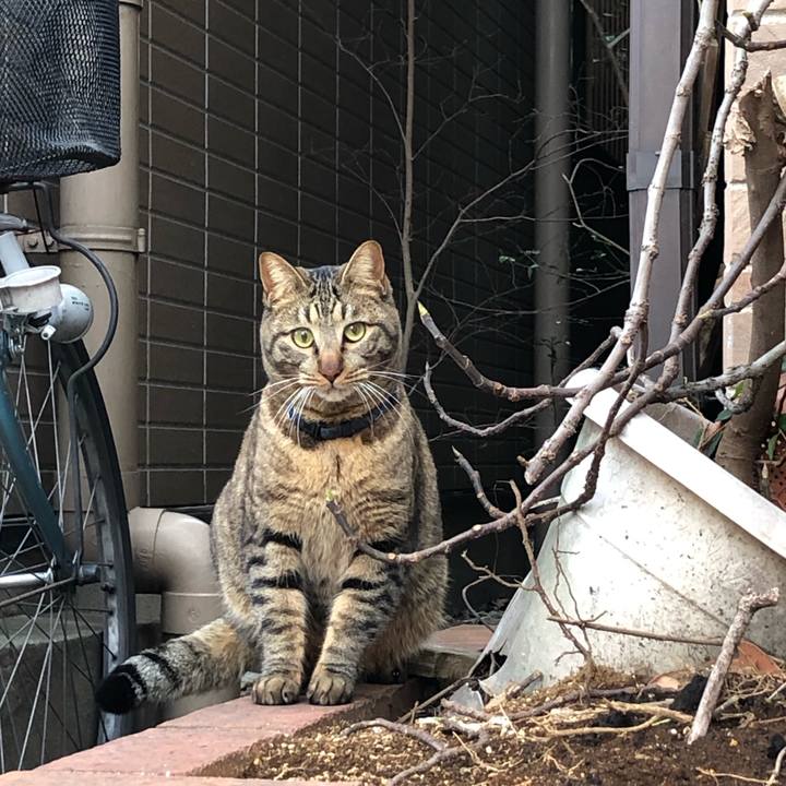 0ec79fad 3882 4724 8843 b96283ed3485 1580973426805