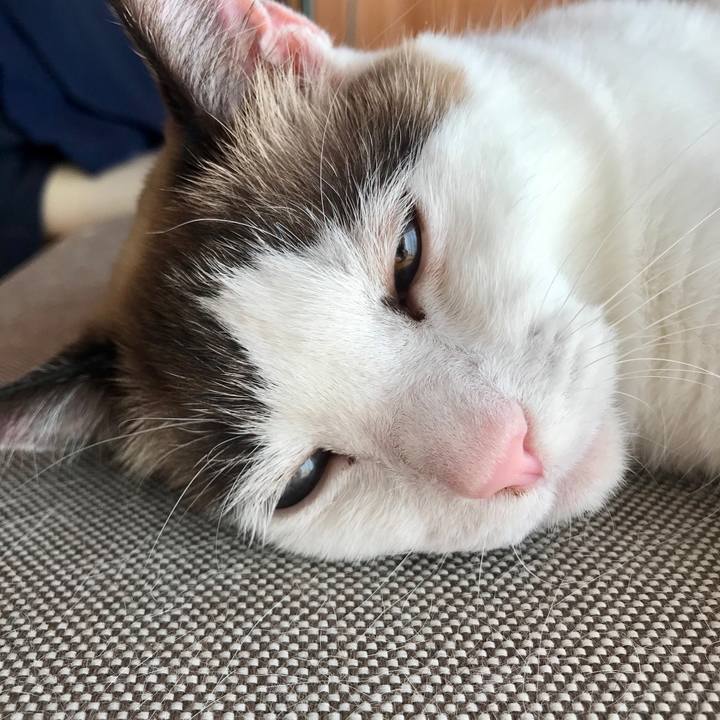 0ec7ca97 87b1 45ac b614 25e6b5d72bca 1577072998544