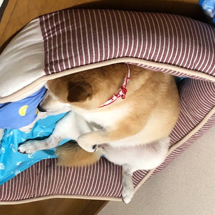 0ec80838 976d 4e60 98b2 aa7007115b2c 1563608622887