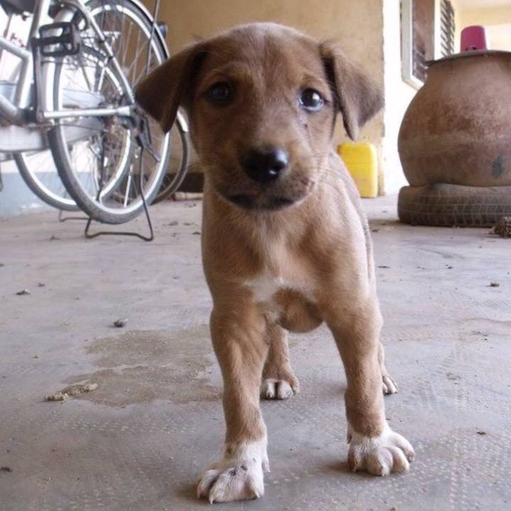 0ec82133 00cf 48f6 825c 19eb6905ac42 1534831632976