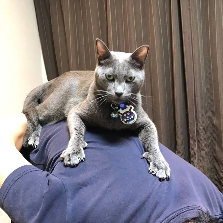 0ec82297 78e9 4c46 ba31 fa03fe074a71 1540816335130