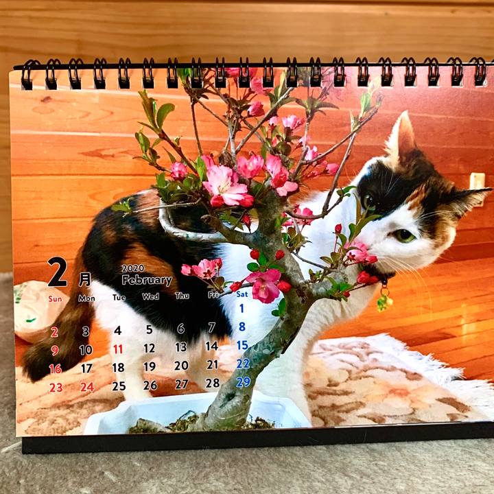 0ec824d9 dd83 4e16 8b12 8a0a7bb05419 1582253410847