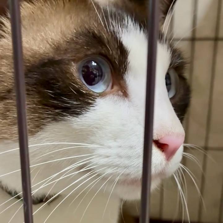 0ec834ae 8e50 40e5 ba46 ecf6ff249cfa 1752831139257