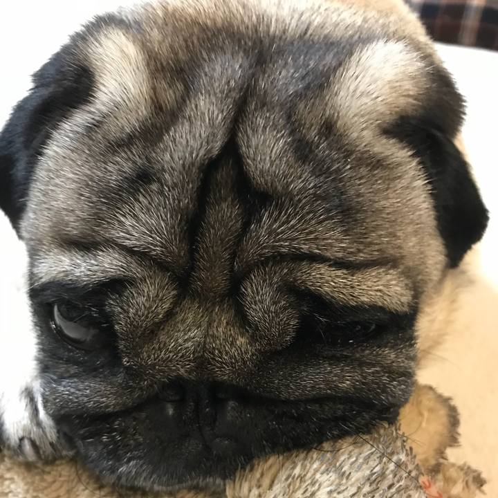 0ec85f0c fb9c 4cca 8feb b65d29d59520 1526561397550