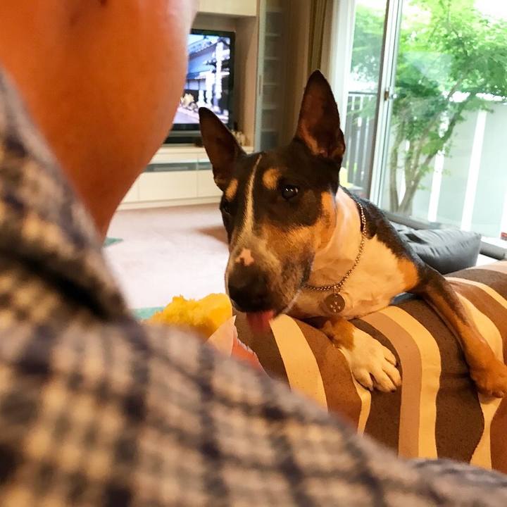 0ec8774b 3790 4293 ab91 8c2dbbbcd402 1528604991281