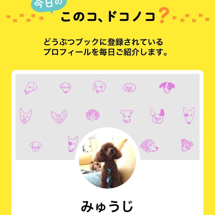 0ec882fe 507f 4b35 8b7b 3ce9fea5492b 1574943658095