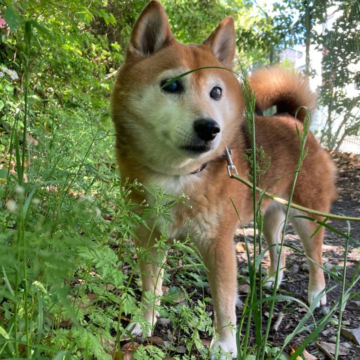 0ec8c4c5 b1b8 496f a58a 85e7d0dc6e6f 1682590046634