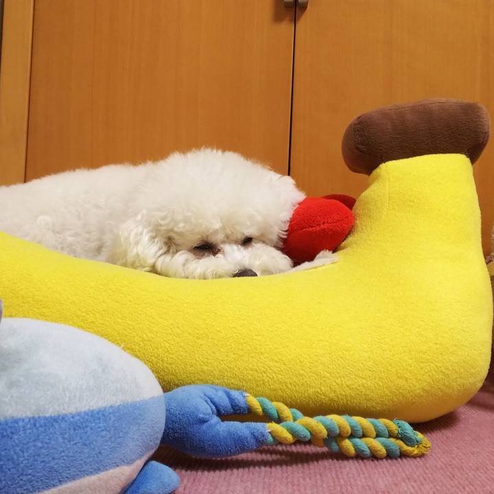 0ec8d67b 6e1e 4c80 b648 b1baa1a04e05 1525775607960