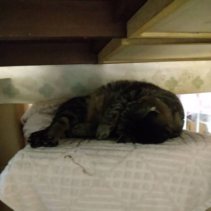 0ec8dd46 9c23 4adb b8a9 f9741e82c764 1680991996825