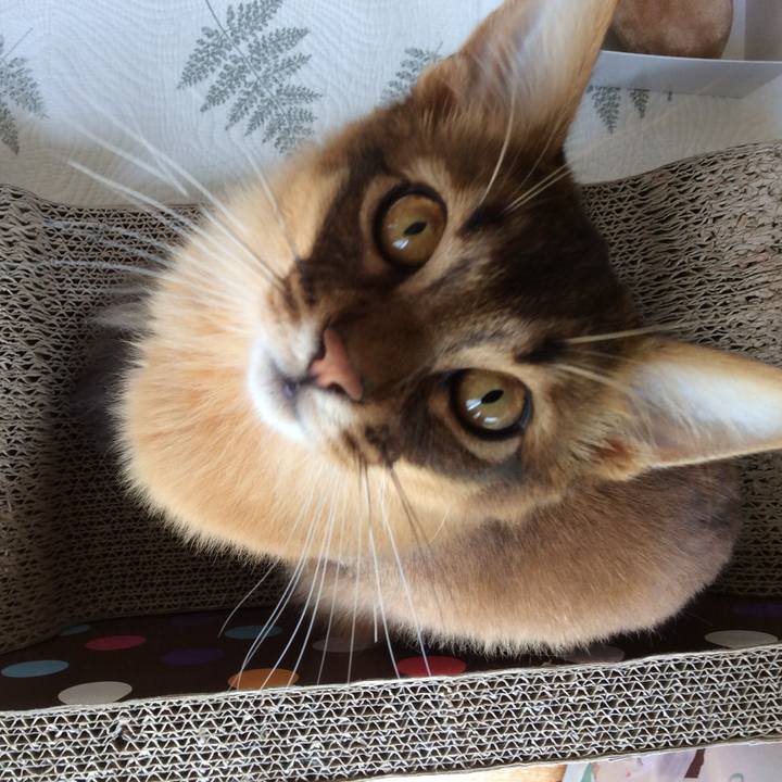 0ec9077a 623a 45d2 8616 9bba98d48269 1589089327374