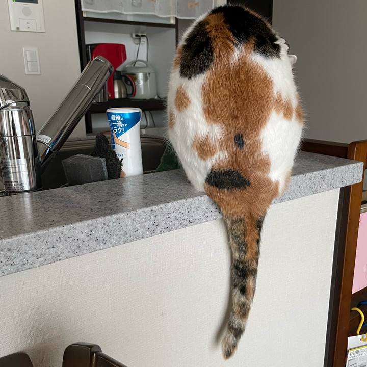 0ec91b18 5d65 43ad 8c2e 67f02a62bfe3 1738458766626