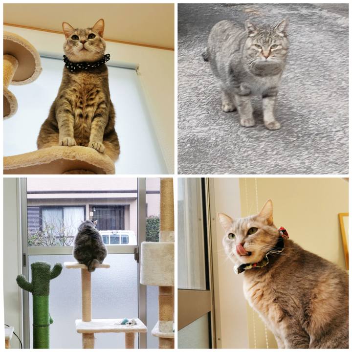 0ec92750 c460 4e54 90da 7b41bbd5aa42 1675830116774