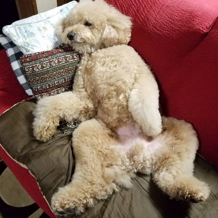 0ec94f2e ef08 442a 9ca2 a083edeb8d98 1518516597030