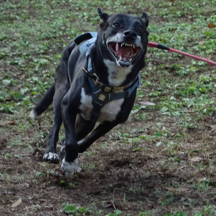 0ec959af 335b 4fa0 8bc8 2bb24ec51e36 1730680228598