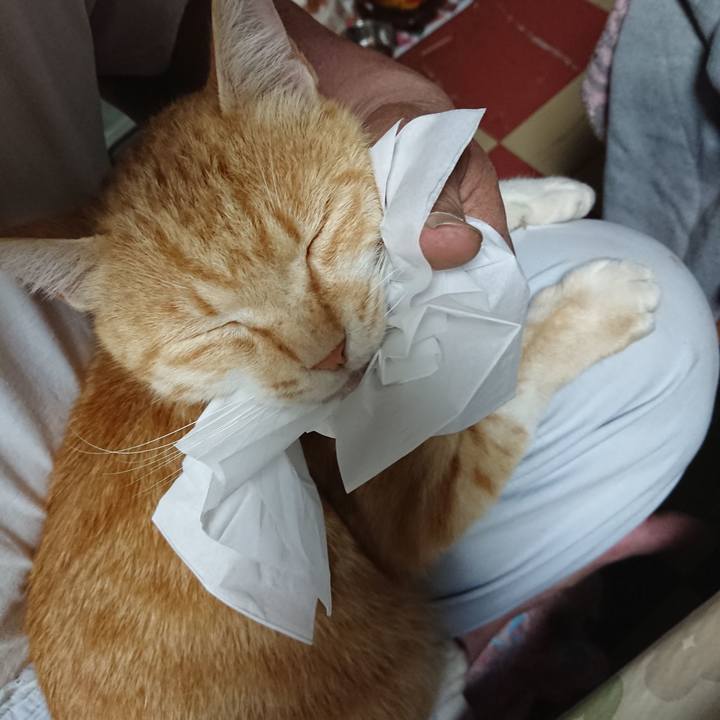 0ec962a3 d438 4f49 a368 d8f8c7a33490 1590573375563