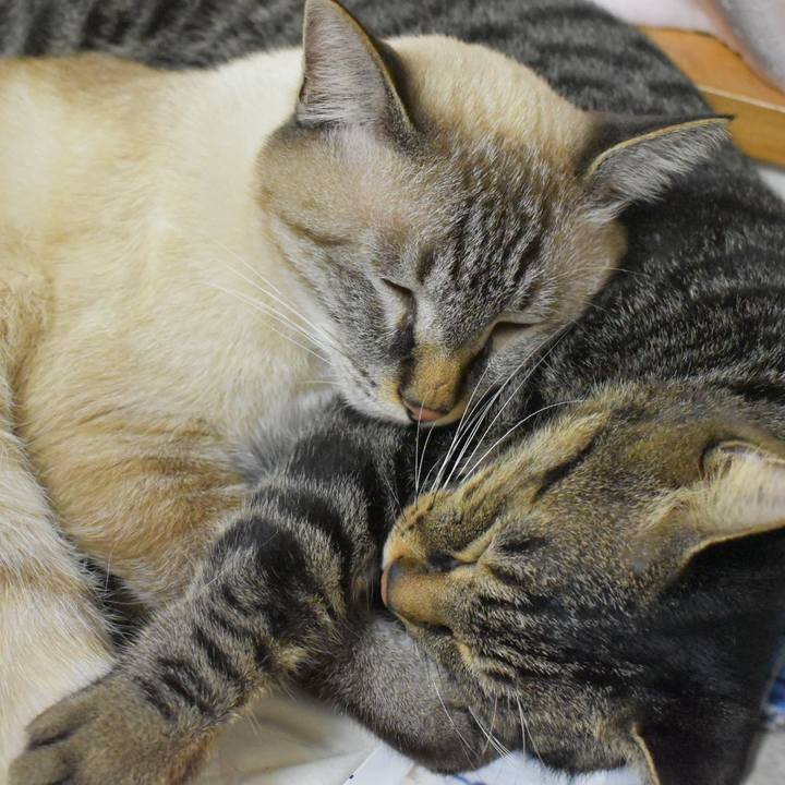 0ec98d6b f868 4ca4 946e 6b6c6e76e8e9 1536930384411