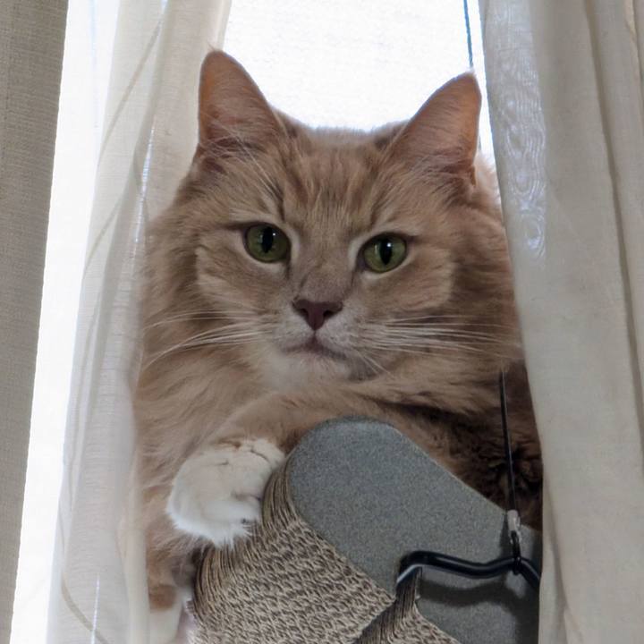 0ec99d32 91e3 4c78 a311 4a703dddd903 1736153479938