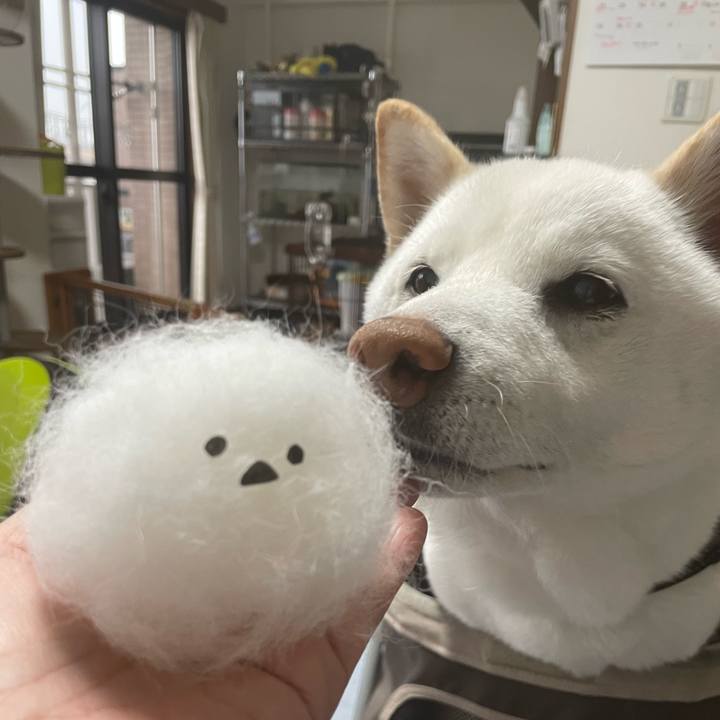 0ec9a426 4f73 40d4 966c 1e9ddc6d0be1 1653037142930