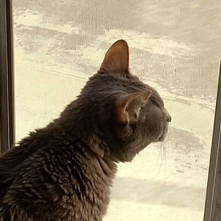 0ec9a753 9177 4a9c 8a5a ab76198fcb84 1698989233937