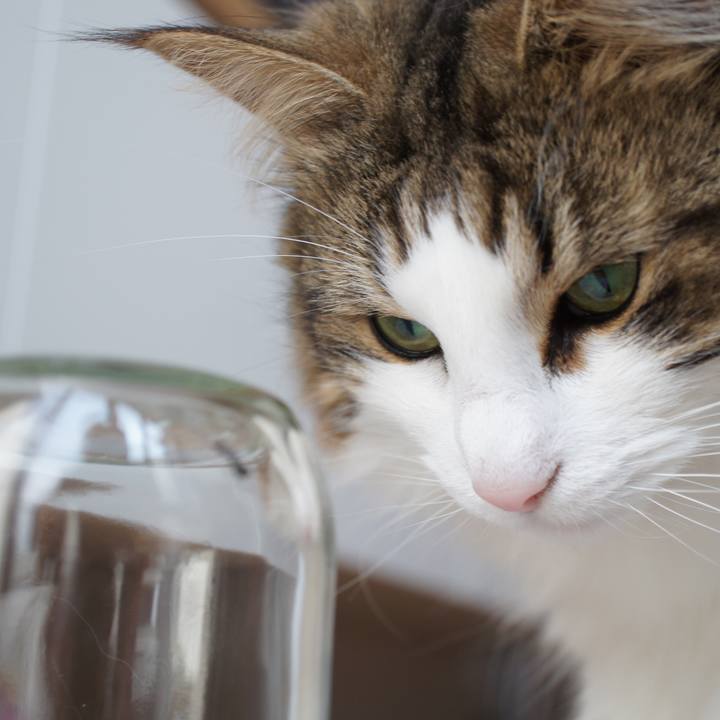 0ec9e47d dd7d 437d a213 84bd586c0cb9 1522125888770