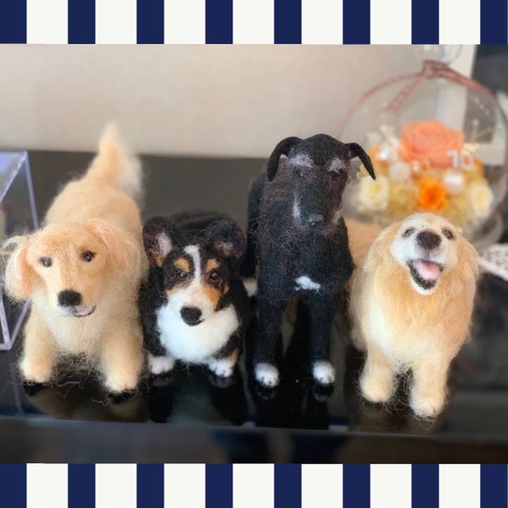 0eca61d1 ea59 42cf 8497 b9ebf4d3da12 1559359096509